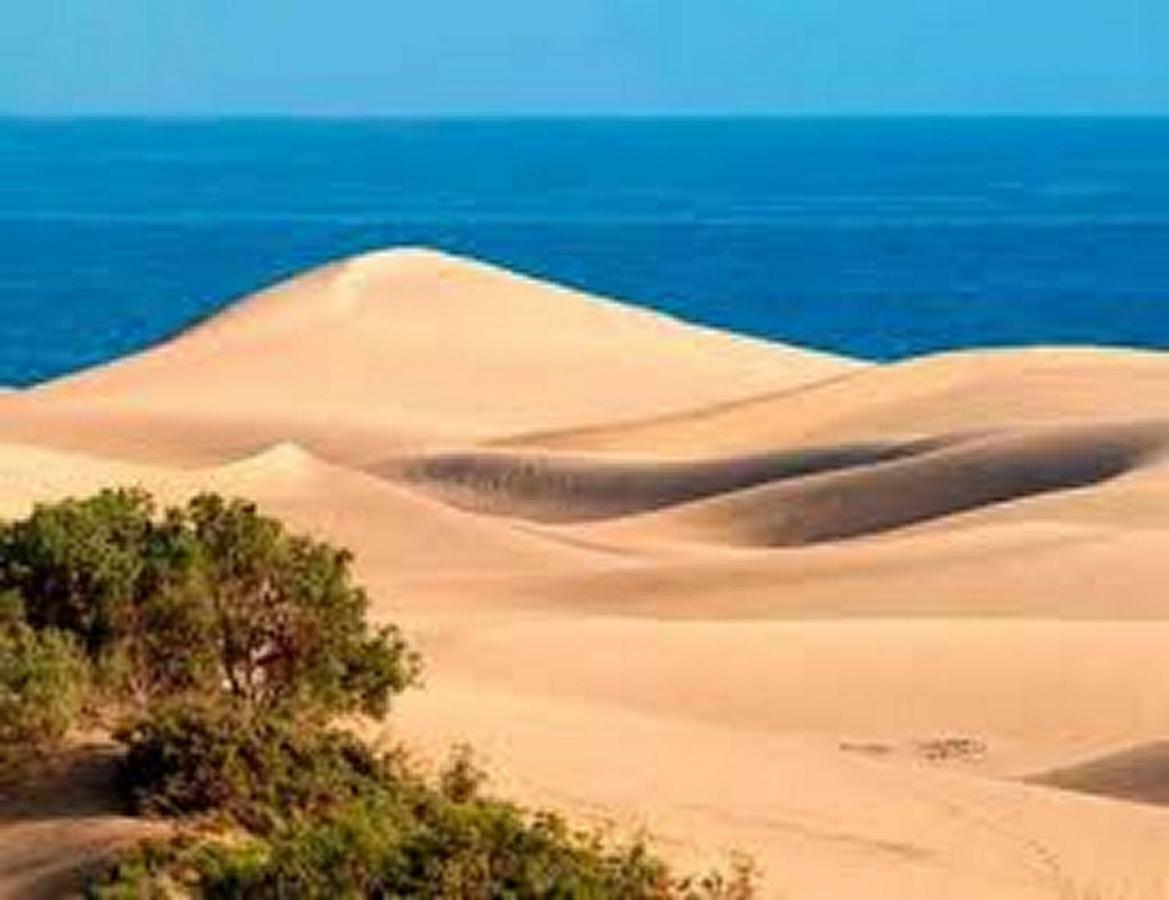 Bungalow Duna Flor Maspalomas Маспаломас Екстериор снимка